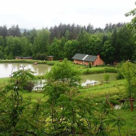 Villa Dolina 4 Stawow Krzywcza Exterior foto