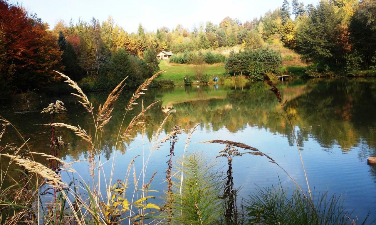 Villa Dolina 4 Stawow Krzywcza Exterior foto